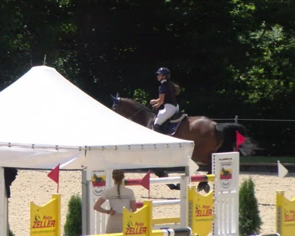 Reitturnier Maienfeld 2025