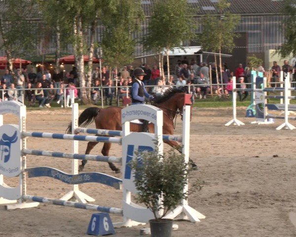 Reitturnier Herbern 2025
