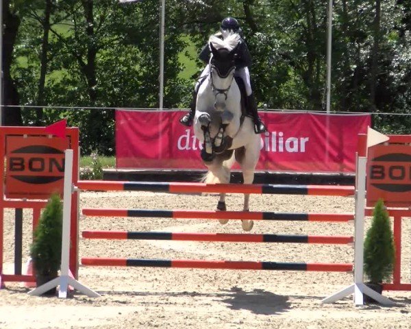 Reitturnier Maienfeld 2025