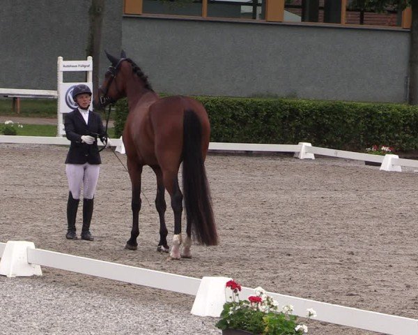 Reitturnier Neustadt/Dosse 2025