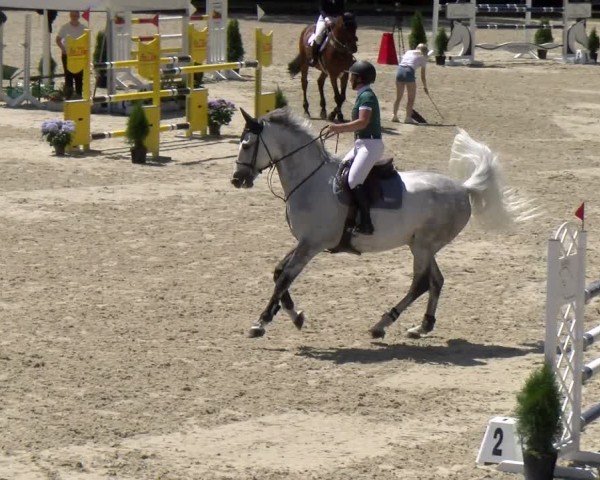 Reitturnier Maienfeld 2025