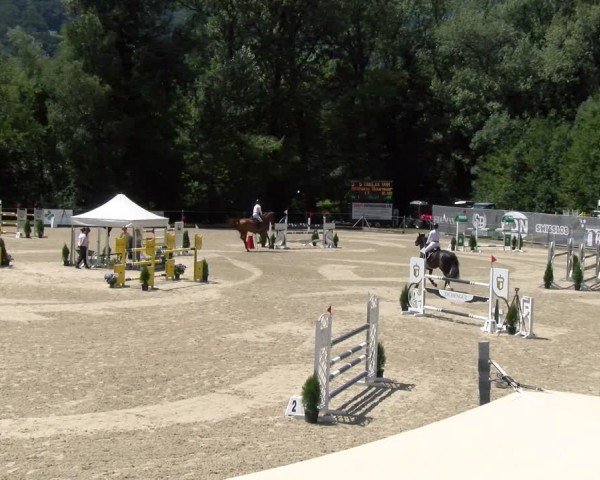 Reitturnier Maienfeld 2025