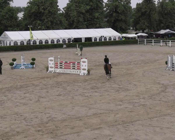 Reitturnier Neustadt/Dosse 2025