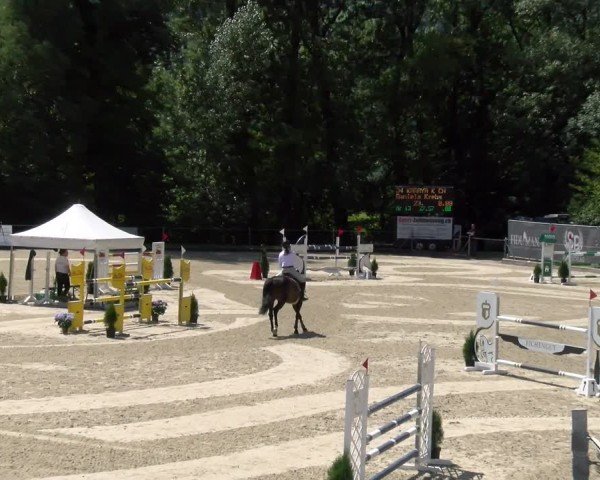 Reitturnier Maienfeld 2025