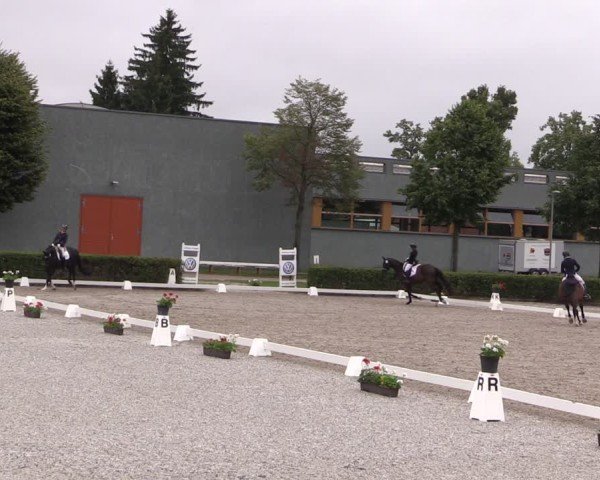 Reitturnier Neustadt/Dosse 2025