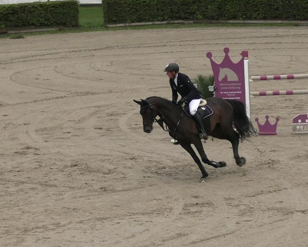 Reitturnier Neustadt/Dosse 2025