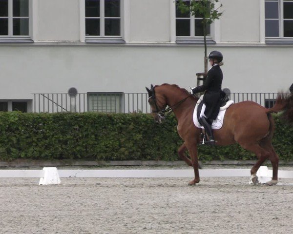 Reitturnier Neustadt/Dosse 2025