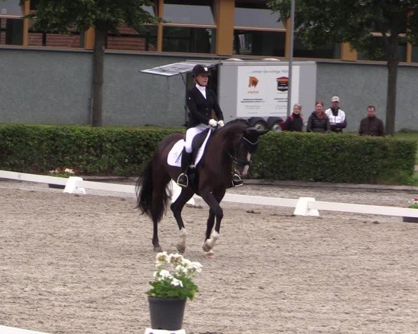 Reitturnier Neustadt/Dosse 2025