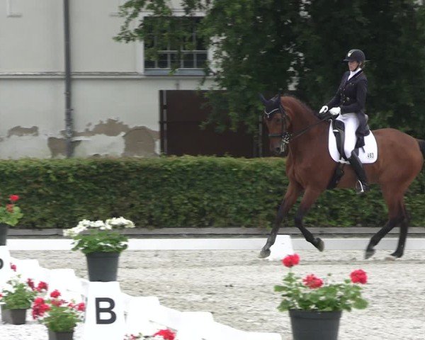 Reitturnier Neustadt/Dosse 2025