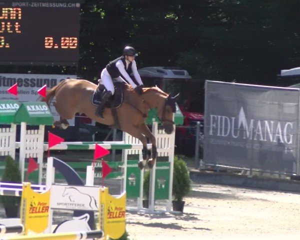 Reitturnier Maienfeld 2025