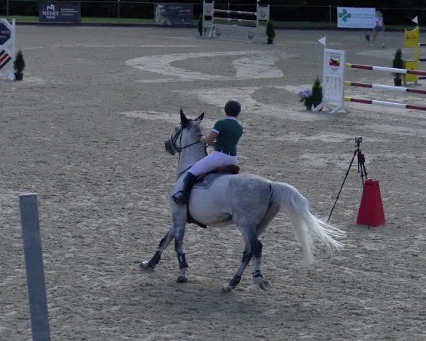 Reitturnier Maienfeld 2025