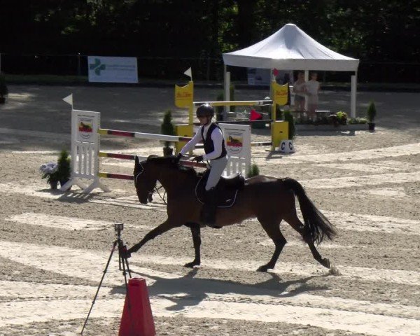 Reitturnier Maienfeld 2025