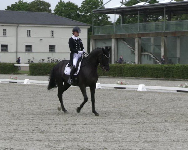 Reitturnier Neustadt/Dosse 2025