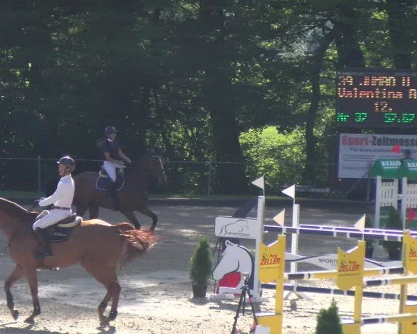 Reitturnier Maienfeld 2025