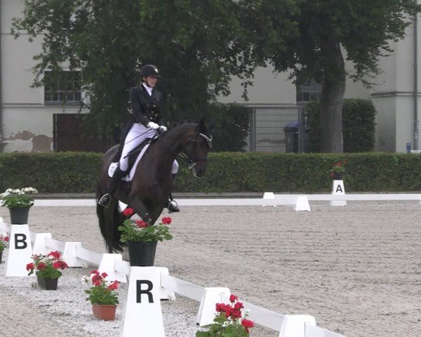 Reitturnier Neustadt/Dosse 2025