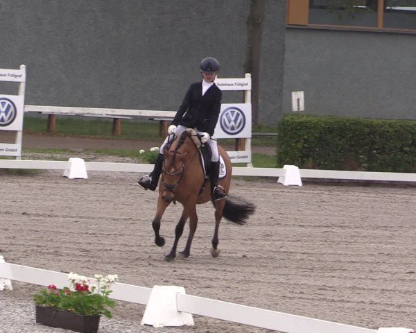 Reitturnier Neustadt/Dosse 2025
