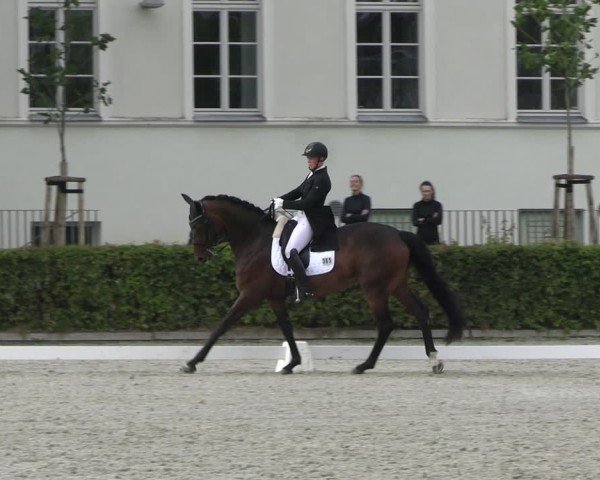 Reitturnier Neustadt/Dosse 2025