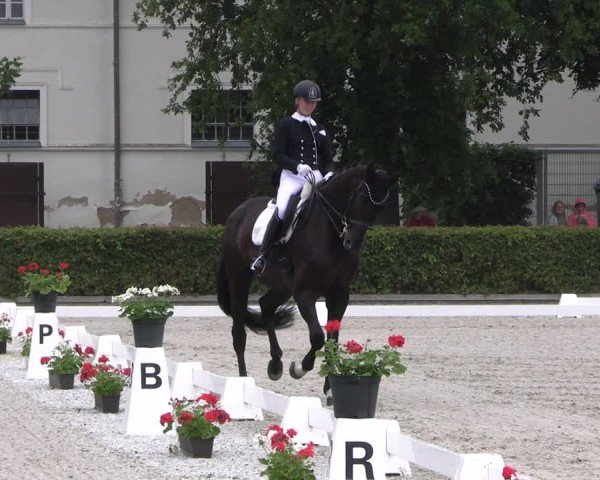 Reitturnier Neustadt/Dosse 2025