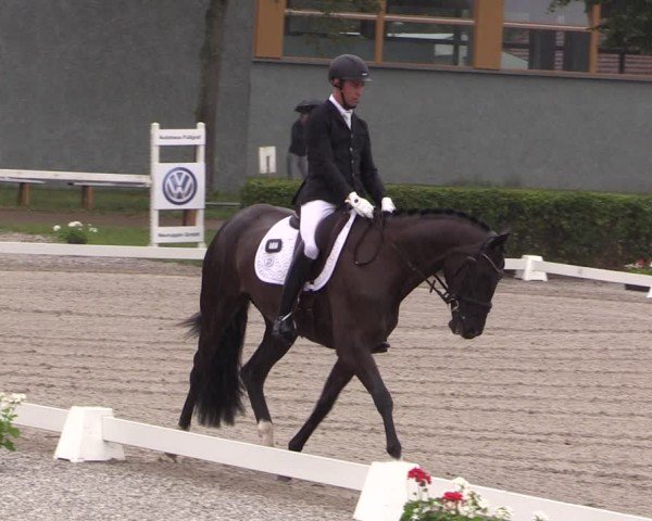 Reitturnier Neustadt/Dosse 2025