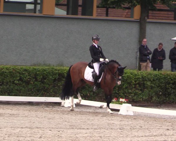 Reitturnier Neustadt/Dosse 2025