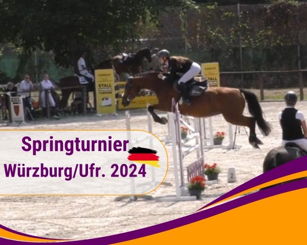 Reitturnier Würzburg/Ufr. 2025