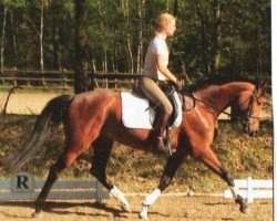 broodmare Escada 195 (Hanoverian, 2005, from Embassy I)
