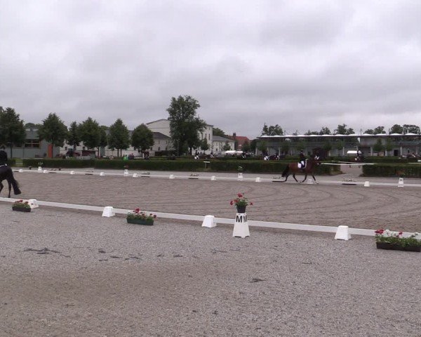Reitturnier Neustadt/Dosse 2025