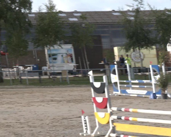Reitturnier Herbern 2025