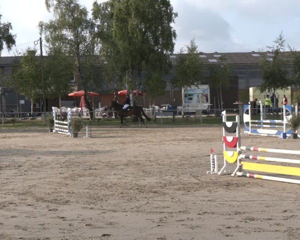 Reitturnier Herbern 2025