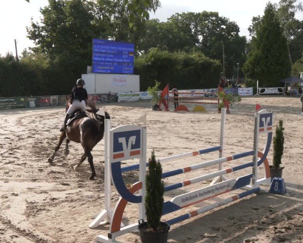 Reitturnier Herbern 2025