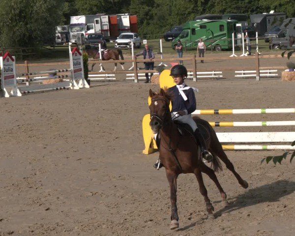 Reitturnier Herbern 2025