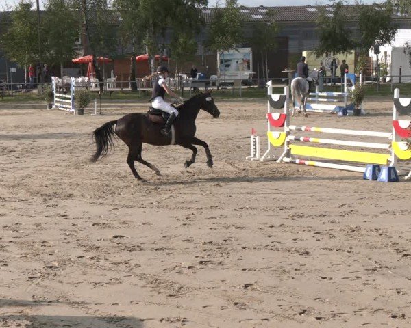 Reitturnier Herbern 2025