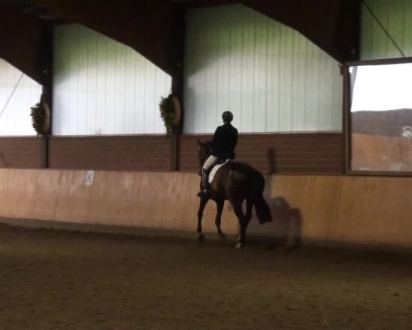 Iserlohn-Kalthof 2014