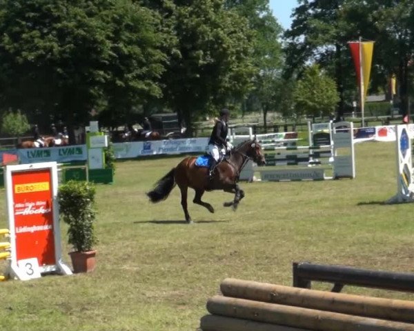 Lüdinghausen 2014