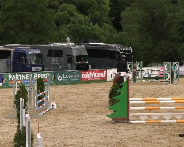 Reitturnier Bad Liebenstein/Sorga 2025
