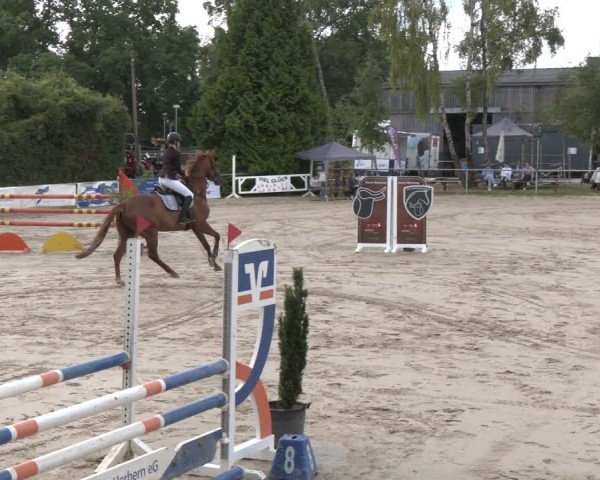 Reitturnier Herbern 2025