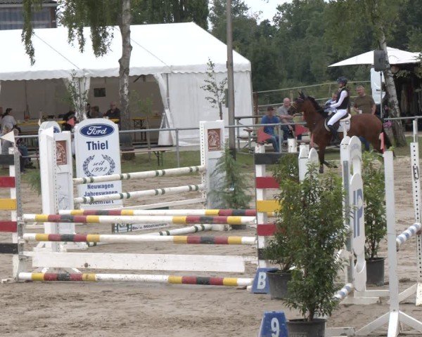 Reitturnier Herbern 2025