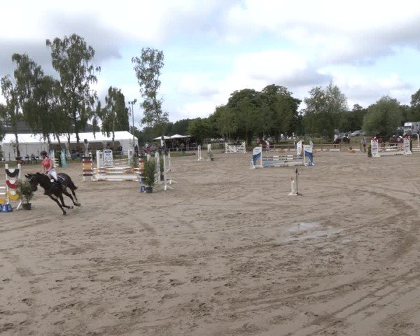 Reitturnier Herbern 2025