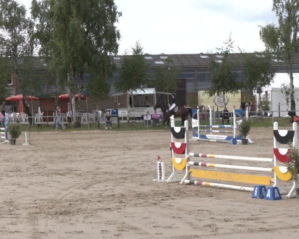 Reitturnier Herbern 2025