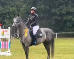 jumper Hickstead's Hilevie (Hanoverian, 2020, from HICKSTEAD WHITE)