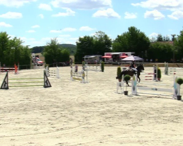 Reitturnier Würzburg/Ufr. 2025