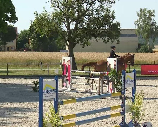 Reitturnier Rot am See- Musdorf 2025