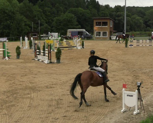Reitturnier Bad Liebenstein/Sorga 2025
