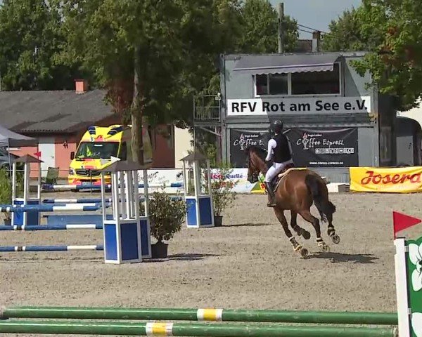 Reitturnier Rot am See- Musdorf 2025