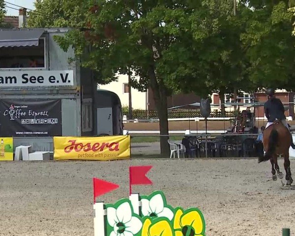 Reitturnier Rot am See- Musdorf 2025