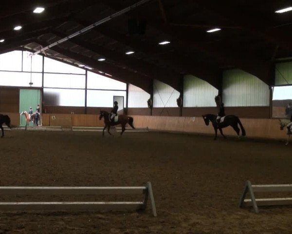 Iserlohn-Kalthof 2014