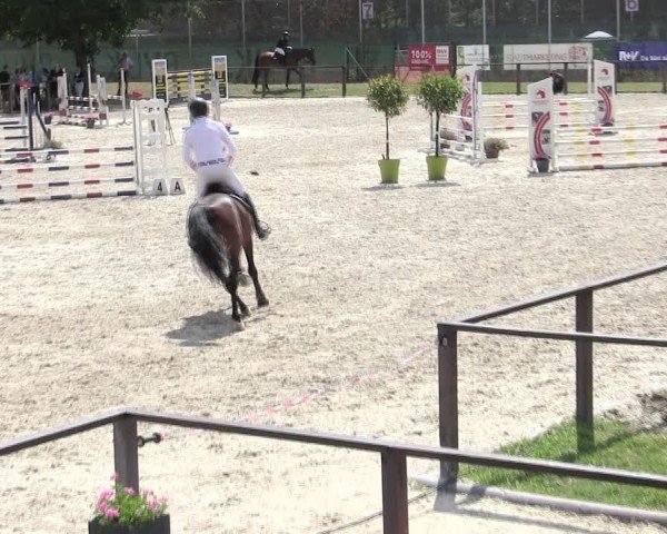 Reitturnier Würzburg/Ufr. 2025