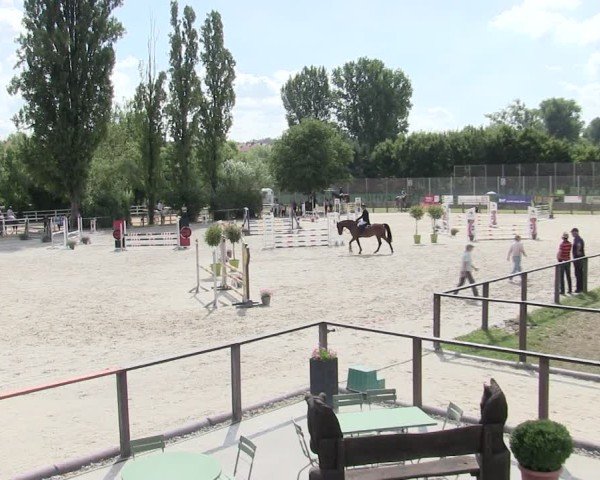 Reitturnier Würzburg/Ufr. 2025