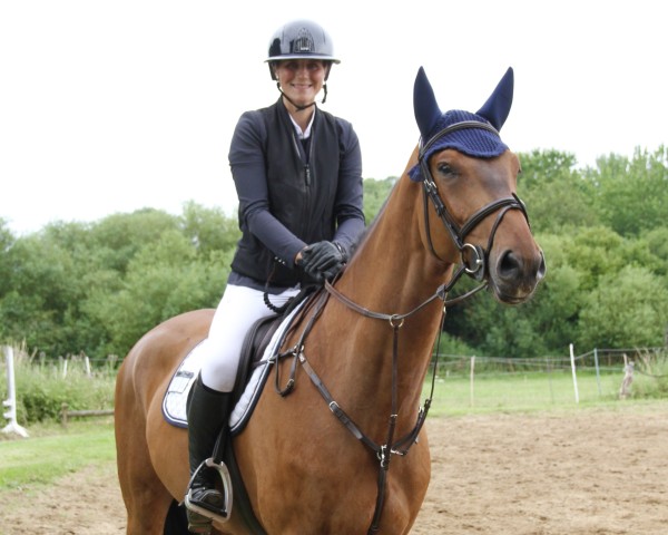 Cavallo Quickie P. (Holsteiner, 2020, di VDL Quickthago)