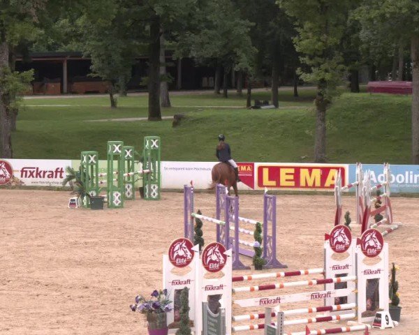 Reitturnier Stadl-Paura 2025